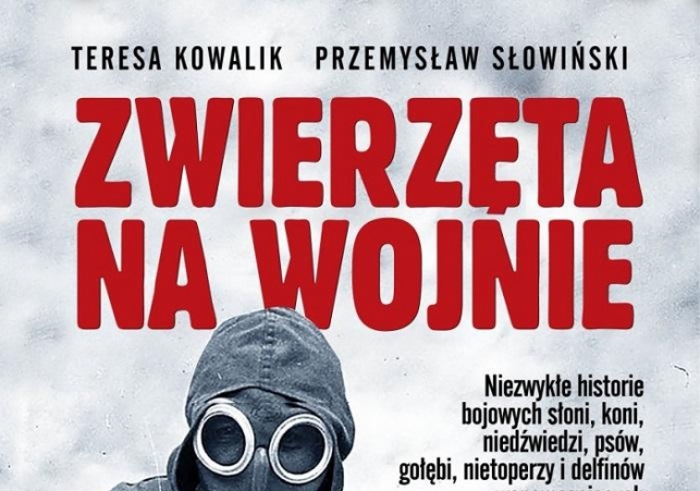 zwierzeta na wojnie
