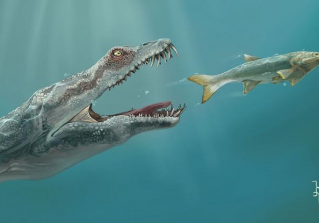 prehistoryczne gady morskie