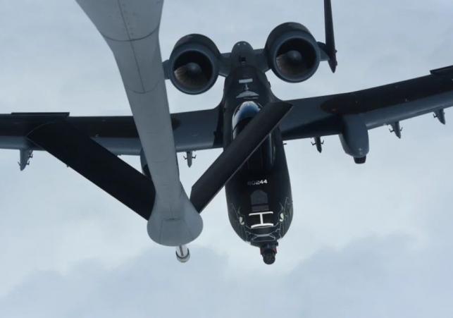 A-10 Blacksnakes