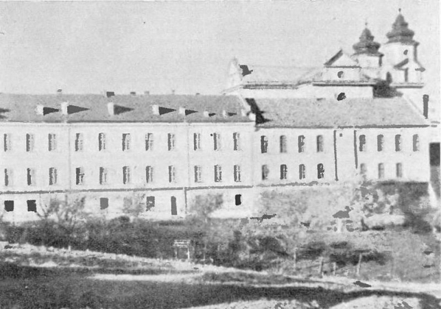 akcja wisnicz
