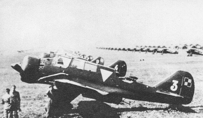 big_800px-Pzl-23_3