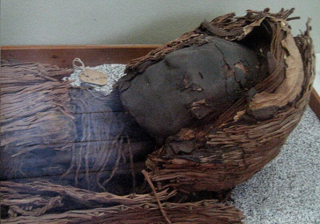 mumia z kultury Chinchorro