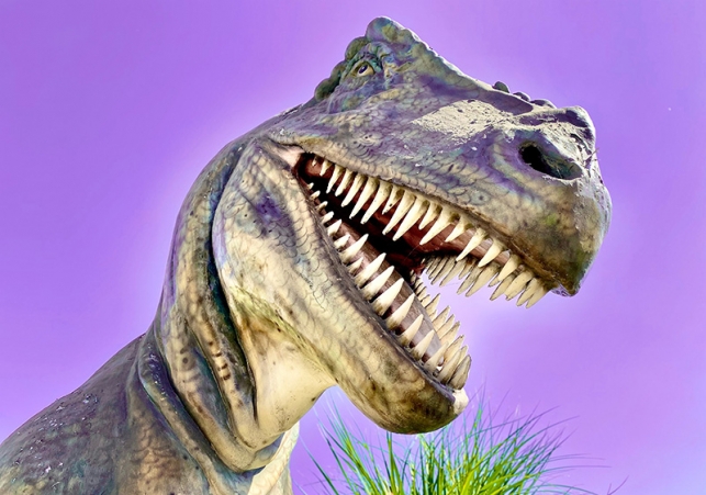 dinozaury
