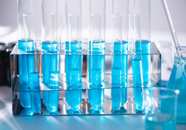 na ratunek koralowcom