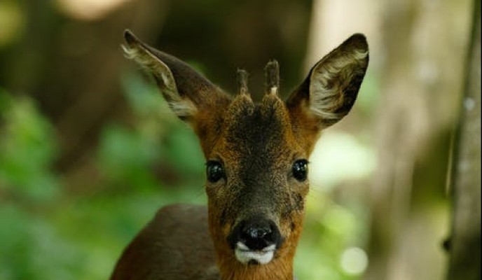 pexels-photo-4598713