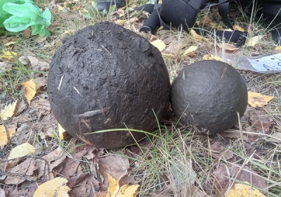 bitwa pod dubienka