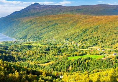 norwegia Selja