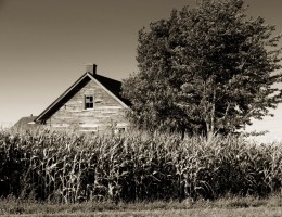 old-farm-house-b-w-1408884