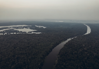 puszcza amazonska
