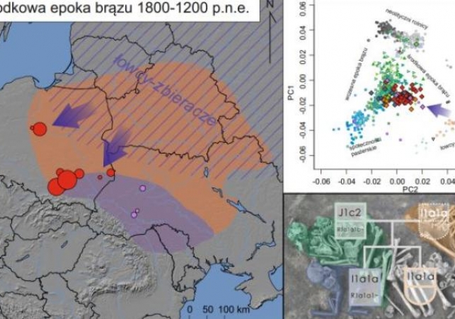 migracje epoki brazu